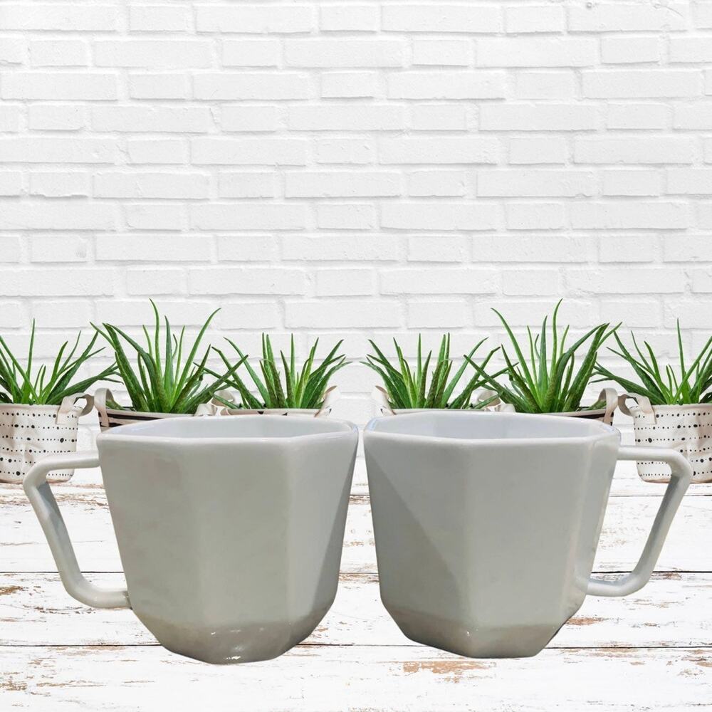 West Elm Geometric Porcelain Mugs
